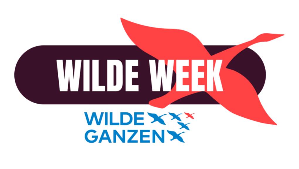 Wilde Week
